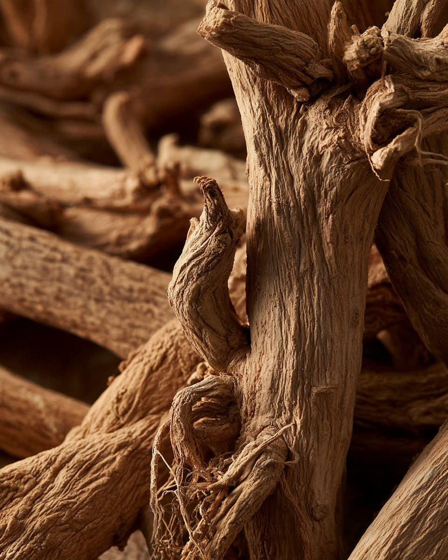 Adaptogens